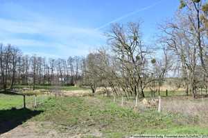 Ländliches Leben in Stadtnähe - Drei-Seiten-Bauernhof in Neuenhagen – Märkisch-Oderland (Kreis) – Vorschaubild 11