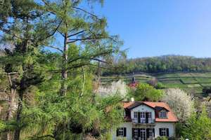 Property thumbnail 8