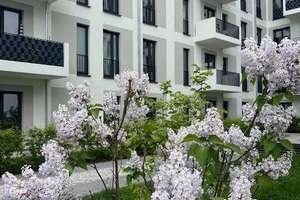 1 Zimmer  - HAVELUFER Quartier – Am Maselakepark 31, 13587 Hakenfelde, Berlin – Vorschaubild 7