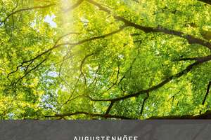 Verkaufsstart !! Augustenhöfe - Das neue Architektur-Highlight in Stuttgart West -  KfW 40 QNG – Augustenstraße 63A, 70178 Rotebühl, Stuttgart – Vorschaubild 5