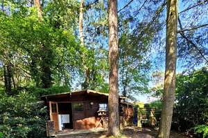 Bungalow in traumhafter Lage und eigenem Wald – Die vollständige Adresse der Immobilie erhältst du vom Anbieter., 63801 Kleinostheim – Vorschaubild 8