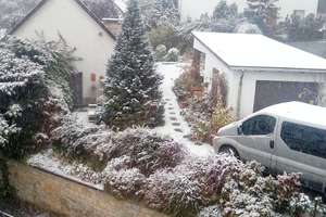 1-3 Fam. Haus ca 360 qm in WILLEBADESSEN zwischen HÖXTER+PADERBORN+NEBENGEBÄUDE +1000 qm GRUNDSTÜCK – Die vollständige Adresse der Immobilie erhältst du vom Anbieter., 34439 Willebadessen – Vorschaubild 19