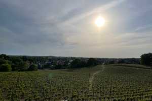 Wohnen am Weinberg – Am Weinberg 6, 14542 Potsdam-Mittelmark (Kreis) – Vorschaubild 5