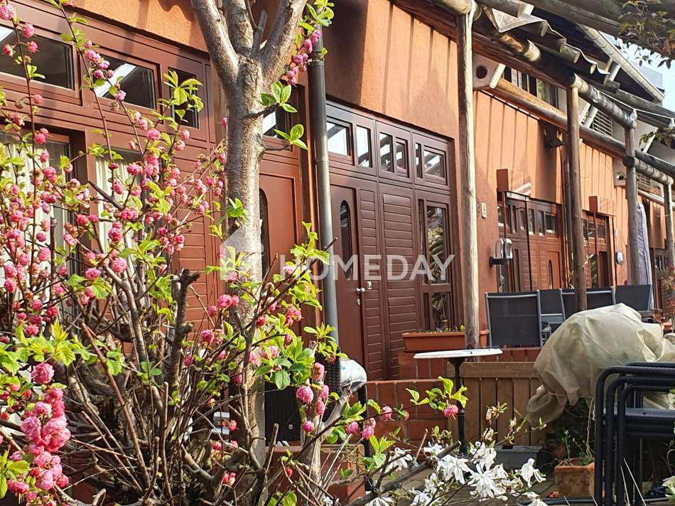 Vordereingang zur Mandelblüte