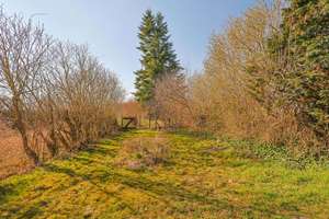 Zwei Doppelhaushalten mit 3.820 qm Land in ruhiger Lage - Mecklenburgische Seenplatte – 17089 Gültz – Vorschaubild 38