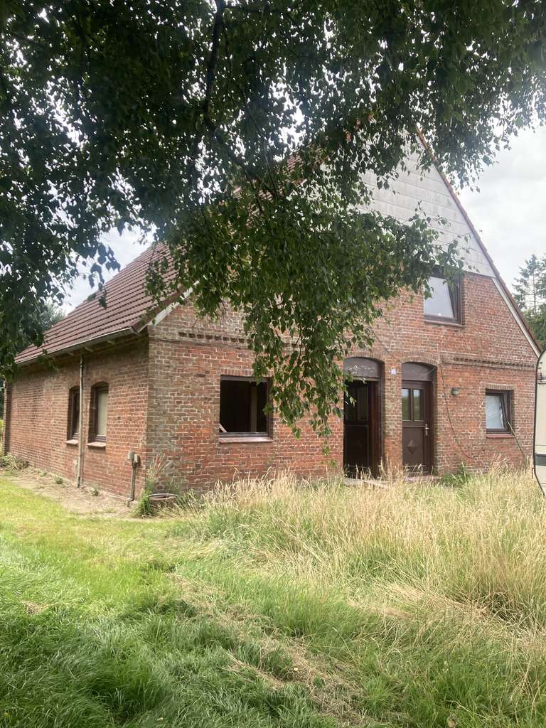 Idyllisches Landhaus direkt hinter dem alten Elbdeich zu verkaufen.