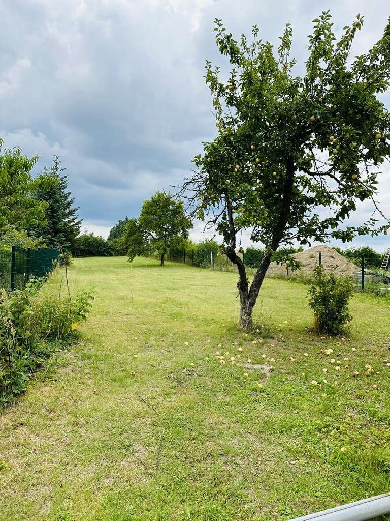 Immobilie in Wriezen - Idyl., gepflegtes 1.277 qm Grundstück inkl. DHH mit Nebengelass, Keller - Gartenbereich - Wriezen! - Bild 4