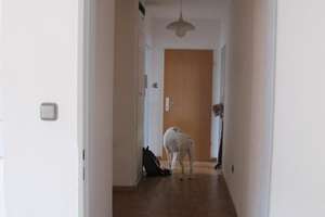 Flexible Maisonette-Wohnung mitten in Rüttenscheid – Klarastr. 31, 45130 Rüttenscheid, Essen – Vorschaubild 13
