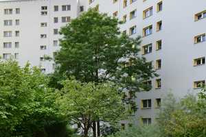 Neuer Hausherr gesucht – Havemannstraße 31, 12689 Berlin – Vorschaubild 4