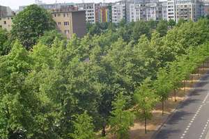 3-Zimmer-Altbauwohnung Berlin Mitte – Die vollständige Adresse der Immobilie erhältst du vom Anbieter., 10179 Mitte (Ortsteil), Berlin – Vorschaubild 7