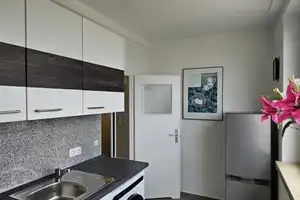 Property thumbnail 16