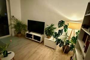 helle 2-Zimmer-Wohnung in Rheinnähe ! – Die vollständige Adresse der Immobilie erhältst du vom Anbieter., 55118 Neustadt, Mainz – Vorschaubild 5