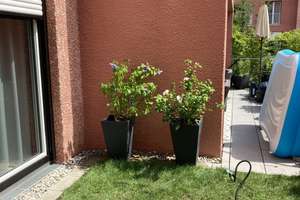 Provisionsfrei: Exklusive 3-Zimmer-Gartenwohnung mit überdachter Südterrasse in Neupasing – Peter-Anders-Straße 18, 81245 Neupasing, München – Vorschaubild 15