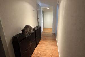 2,5 Zimmer  Wohnung in Bonn-Beuel - Teilmöbiliert  – Die vollständige Adresse der Immobilie erhältst du vom Anbieter., 53225 Beuel-Mitte, Bonn – Vorschaubild 11