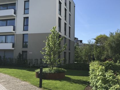 3 3 5 Zimmer Wohnung Zur Miete In Freiburg Im Breisgau Immobilienscout24