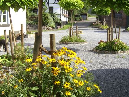 Wohnung Mit Garten Mieten In Erkrath Immobilienscout24