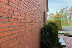 GARTENPARADIES FÜR DIE FAMILIE! Solides EFH in Ibbenbüren-Dickenberg (800m² Grund) mit Doppelgarage! – Die vollständige Adresse der Immobilie erhältst du vom Anbieter., 49479 Ibbenbüren – Vorschaubild 53