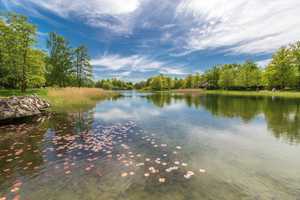 Property thumbnail 26