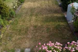 Helles, freundliches Mittelreihenhaus direkt am Schwentinepark – Ulmenstraße 11, 24223 Schwentinental – Vorschaubild 3