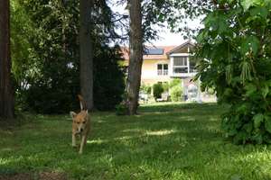 Charmante Doppelhaushälfte  mit Schwimmbad und Park in Balingen, 4,5 Zimmer – Sonnenstr. 17, 72336 Balingen – Vorschaubild 3