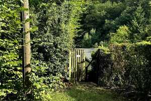 ruhig und idyllisch gelegenes Einfamilienhaus direkt am Waldrand in Meisdorf mit Finnhütte – Harz (Kreis) – Vorschaubild 20