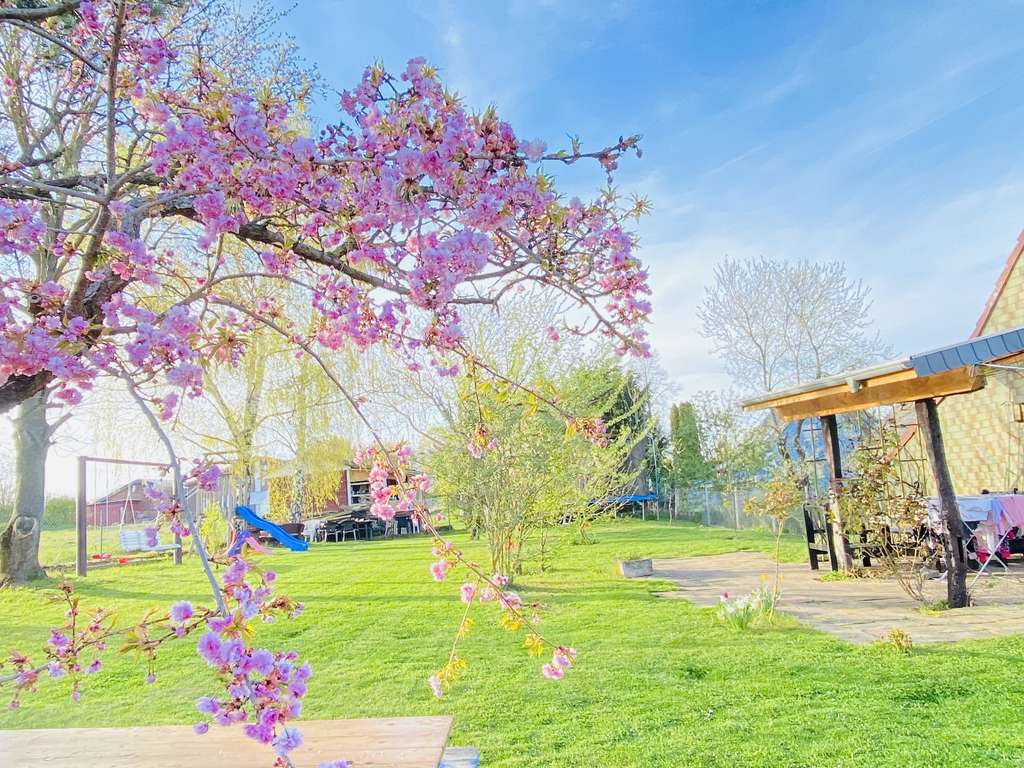 Immobilie in Vettweiß - Haus mit Einliegerwohnung Grundstück 2300 m² - Bild 0