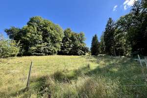 Pferdehof / Bauernhof mit 18.000 m2 nähe Tittling TOP LAGE an der B-85 – Die vollständige Adresse der Immobilie erhältst du vom Anbieter., 94163 Saldenburg – Vorschaubild 35