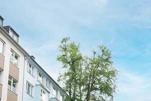 Property thumbnail 9