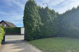 Wo Zuhause beginnt – Freistehendes Einfamilienhaus in begehrter Wohnlage – Die vollständige Adresse der Immobilie erhältst du vom Anbieter., 51381 Bergisch Neukirchen, Leverkusen – Vorschaubild 22