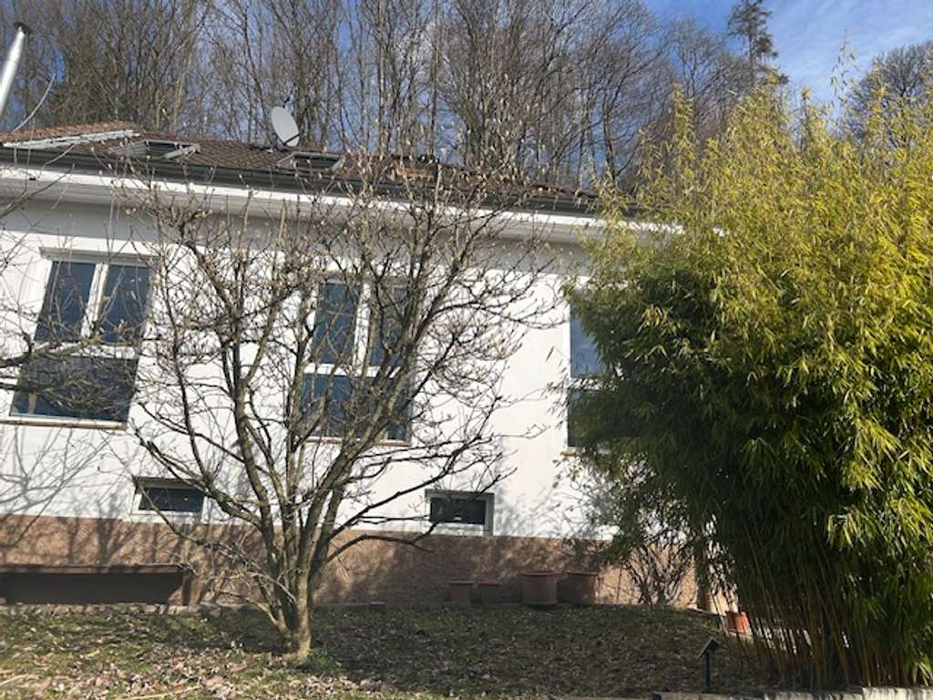 Immobilie in Gorxheimertal - Charmante Altbau-Doppelhaushälfte in idyllischer Waldrandlage - Bild 0