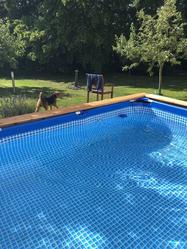 Immobilie in Wiek - Großzügiges, modernes EFH/Stadthausstil in Wiek/Rügen,  Bj2009, Galerie ,4ZK2B, Garage, Garten, Pool - Bild 4