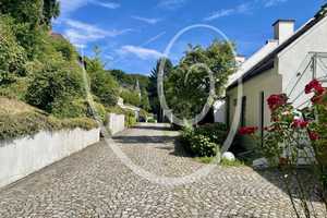 Moderne Architektur in naturnaher Lage – außergewöhnliches Reihenhaus in Hofheim-Lorsbach – Main-Taunus-Kreis – Vorschaubild 2