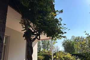 Freistehendes Traumhaus in Toplage – Seltene Gelegenheit für exklusives EFH auf großem Grundstück – Hermann-Wintz-Weg 3, 67346 Speyer – Vorschaubild 11