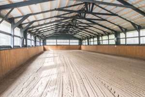 Ideal für Pferdehalter! Pferdehof mit Pferdeboxen, Reitplatz und gr. Lagerhalle – Die vollständige Adresse der Immobilie erhältst du vom Anbieter., 26532 Großheide – Vorschaubild 13