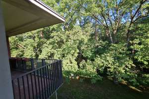 Dahlem| am Grunewald| Zeitmietvertrag 3 Jahre| vollmöbliert| großer Balkon| Einbauküche – Flanaganstr. 27, 14195 Dahlem, Berlin – Vorschaubild 13