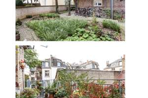 Schöne Altbauwohnung mit großem Balkon beim Günthersburgpark – Rohrbachstraße 26, 60389 Nordend-Ost, Frankfurt am Main – Vorschaubild 2