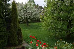 Property thumbnail 5