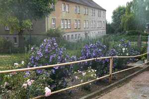 Mehrfamilienhaus, Mehrgenerationenhaus mit großem Grundstück – Zöthen 20, 7774 Saale-Holzland-Kreis – Vorschaubild 6