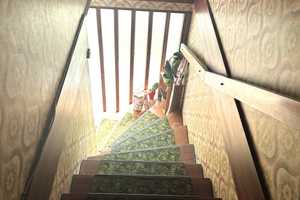 Einfamilienhaus in ruhiger Wohnlage – Berlin – Vorschaubild 24