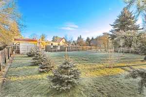 Einfamilienhaus im Bungalowstil am Kurpark von Bad Schmiedeberg – Wittenberg (Kreis) – Vorschaubild 35