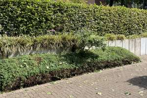 Helle 3-Zimmer-Gartenwohnung in Köln-Niehl - Pure Wohnqualität im "Brunnenplatz Veedel"  – 50735 Niehl, Köln – Vorschaubild 19