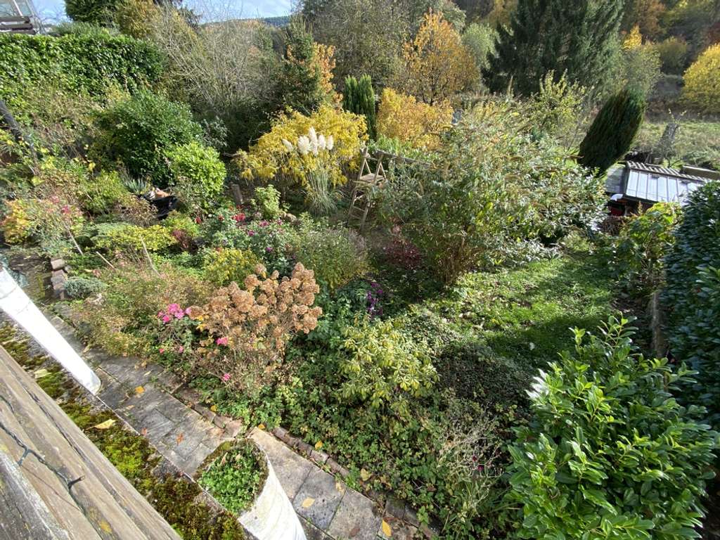 Immobilie in Kall - Aufgepasst - Zwei Einfamilienhäuser zum Preis von einem - Kall / Golbach - Bild 3