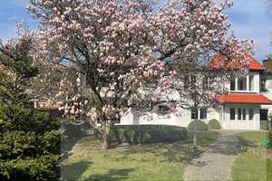 Villa auf uneinsehbarem Parkgrundstück – Göttingen (Kreis) – Vorschaubild 1