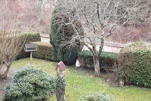 Gepflegtes Wohn-und Geschäftshaus in Schmelz-Primsweiler zu verkaufen – Die vollständige Adresse der Immobilie erhältst du vom Anbieter., 66839 Schmelz – Vorschaubild 26