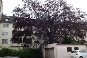 Direkt an der RÜ, da will ich wohnen! Schicke 2-Raum Wohnung mit Balkon – Rüttenscheider Straße 160, 45131 Rüttenscheid, Essen – Vorschaubild 17