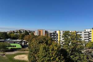 Drei Zimmer Eigentumswohnung Wolfsburg-Westhagen mit guter Raumaufteilung und EBK, Einstellplatz! – Die vollständige Adresse der Immobilie erhältst du vom Anbieter., 38444 Westhagen, Wolfsburg – Vorschaubild 33