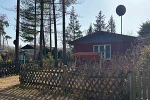 Sommerhaus am See - 60 Minuten von Berlin – Teltow-Fläming (Kreis) – Vorschaubild 37