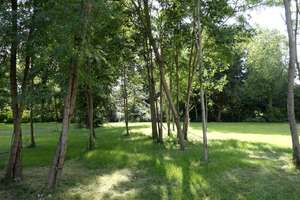 Sehr loftige Maisonette mit Terrasse zentrumsnah im Park – Zweinaundorfer Str. 55, 4318 Anger-Crottendorf, Leipzig – Vorschaubild 8