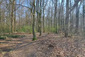 Property thumbnail 16