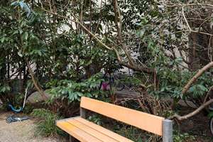 Preis reduziert: Heller Altbauklassiker mit ruhiger Gartenhauslage in Friedrichshain – Proskauer Straße 24, 10247 Friedrichshain, Berlin – Vorschaubild 13